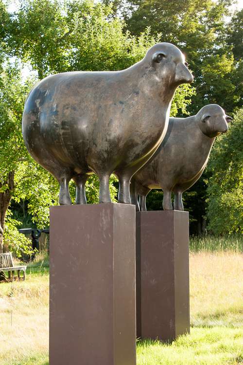 A pair of bronze sheep by sculptor Peter Woytuk.